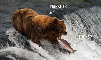 The Bear Market Is Finally Over | Peterson Wealth Management