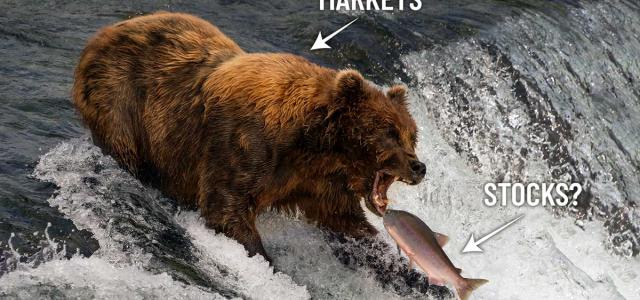 The Bear Market Is Finally Over | Peterson Wealth Management